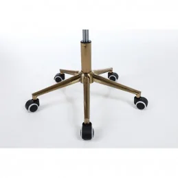 Stolička Caramela Velur Gold Fuksia Kategórie