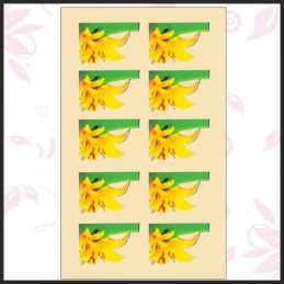 Foto nálepky Foto nálepky