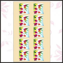 Foto nálepky Foto nálepky