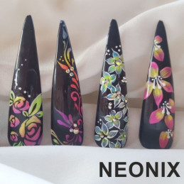 Nail art zdobenie NEONIX  Školenia na nechty