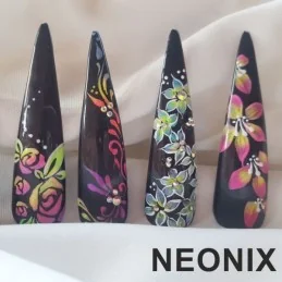 Nail art zdobenie NEONIX  Školenia na nechty
